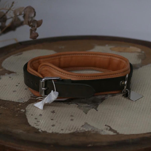 Guidi dog collar CL03 PG3